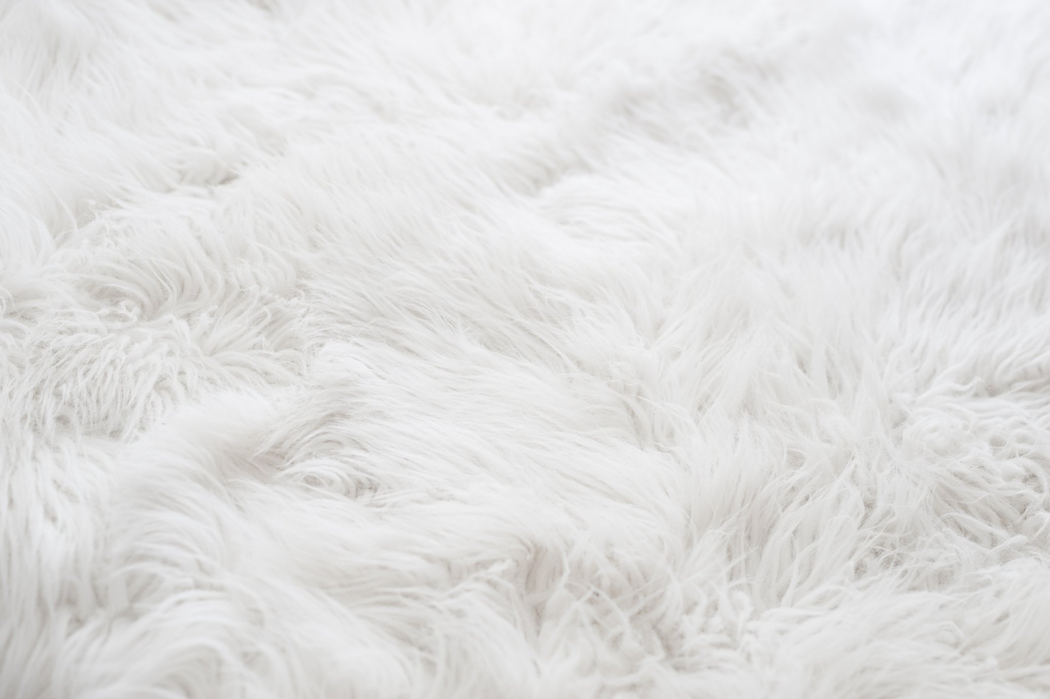 White fur background